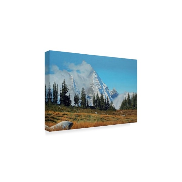 Ron Parker 'Mountain Mists' Canvas Art,22x32